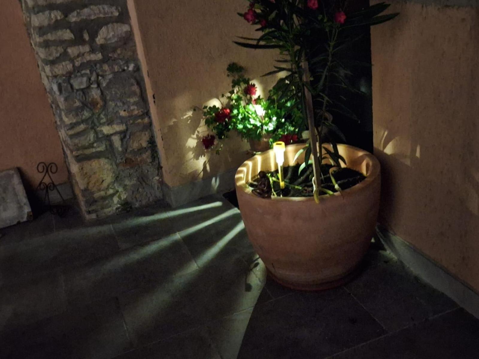 Apartment Lupo Vodnjan Zewnętrze zdjęcie